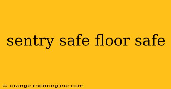 sentry safe floor safe