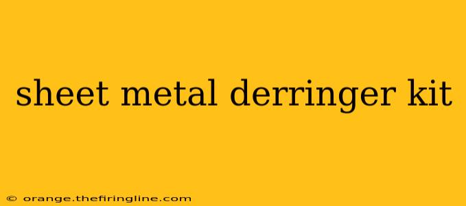 sheet metal derringer kit