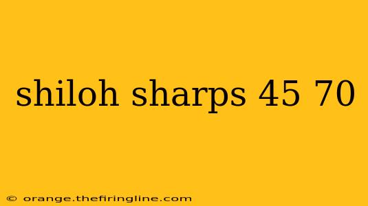 shiloh sharps 45 70