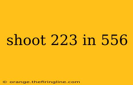 shoot 223 in 556