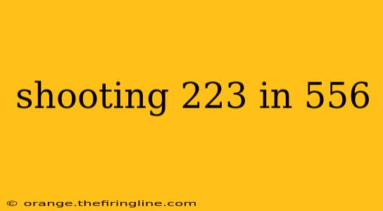 shooting 223 in 556