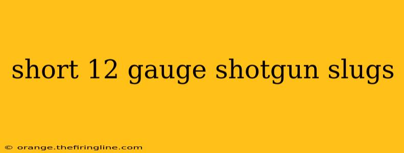 short 12 gauge shotgun slugs