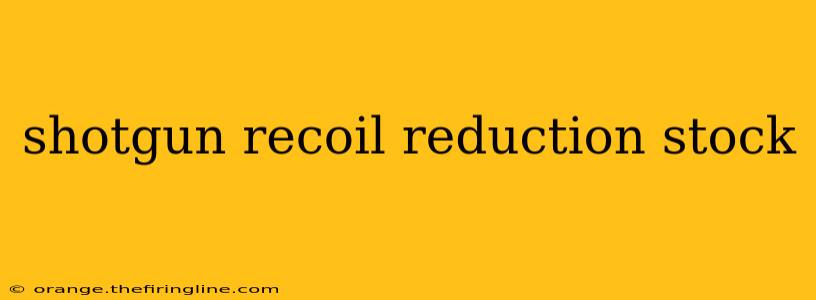 shotgun recoil reduction stock