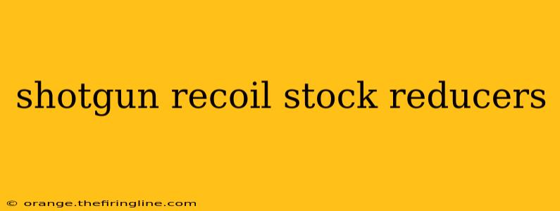 shotgun recoil stock reducers