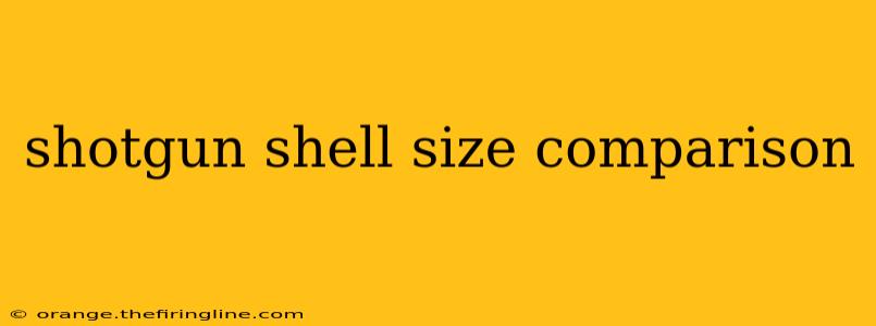 shotgun shell size comparison