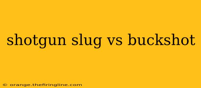 shotgun slug vs buckshot