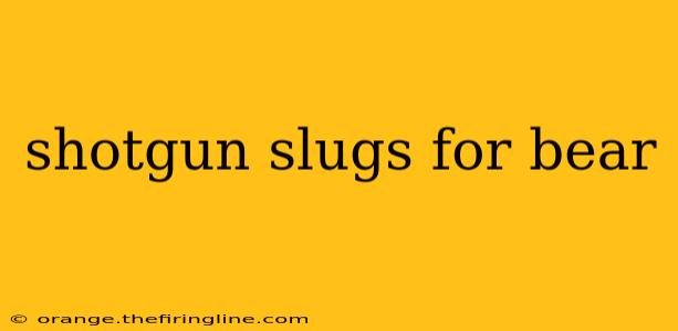 shotgun slugs for bear