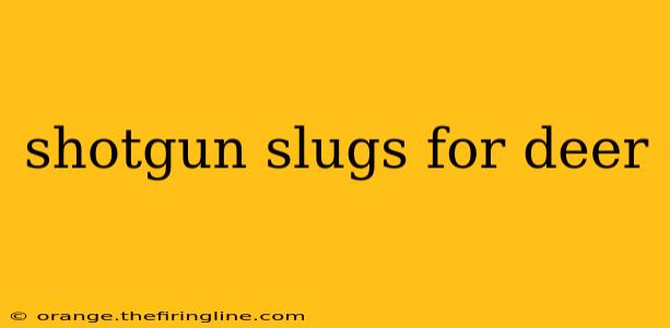 shotgun slugs for deer