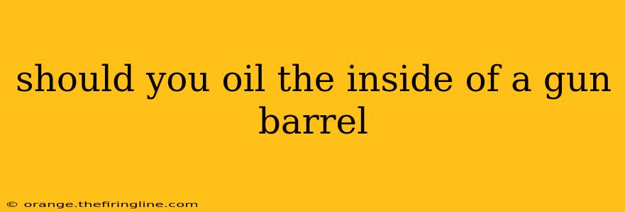 should you oil the inside of a gun barrel