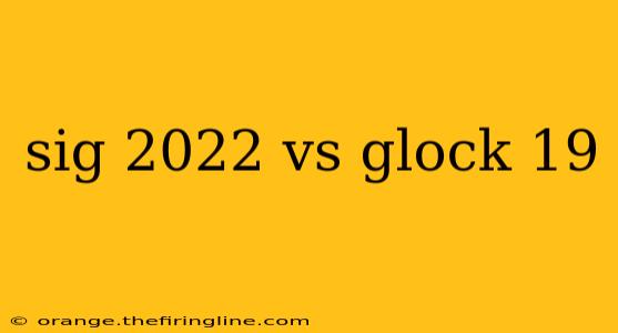 sig 2022 vs glock 19