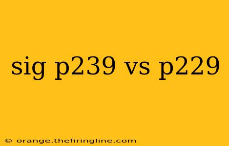 sig p239 vs p229