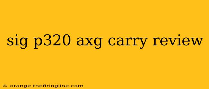 sig p320 axg carry review