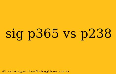 sig p365 vs p238