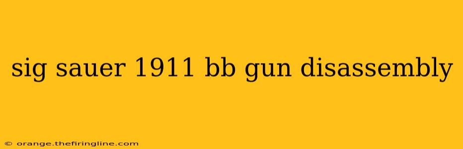 sig sauer 1911 bb gun disassembly