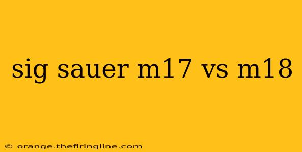 sig sauer m17 vs m18