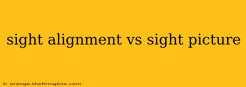 sight alignment vs sight picture