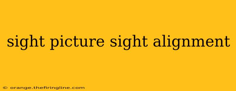 sight picture sight alignment