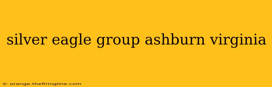 silver eagle group ashburn virginia