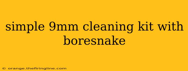 simple 9mm cleaning kit with boresnake