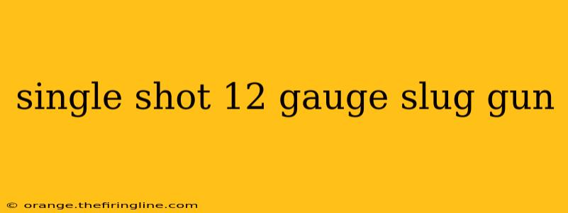 single shot 12 gauge slug gun