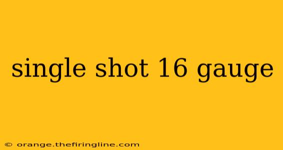 single shot 16 gauge