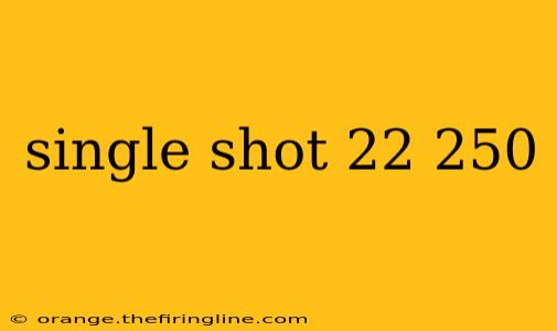 single shot 22 250