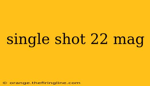 single shot 22 mag