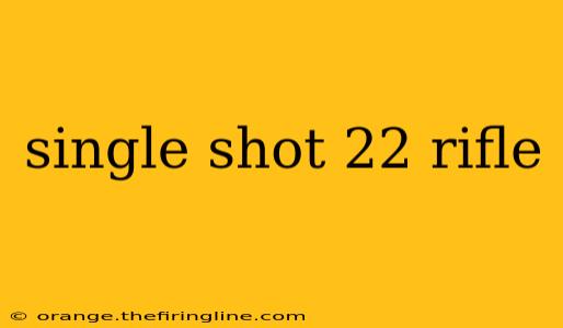 single shot 22 rifle