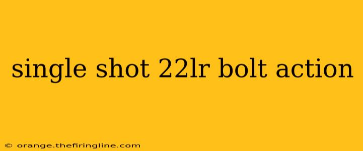 single shot 22lr bolt action