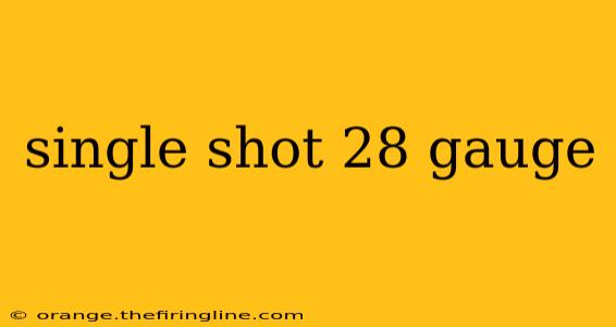 single shot 28 gauge