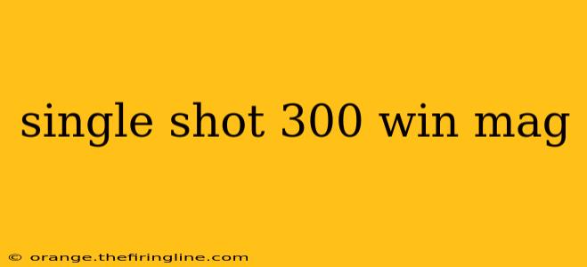 single shot 300 win mag