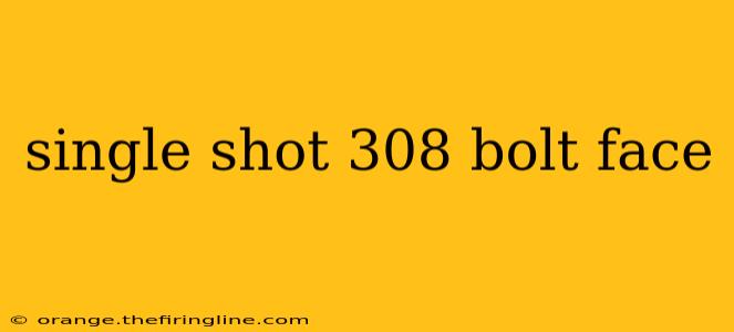 single shot 308 bolt face