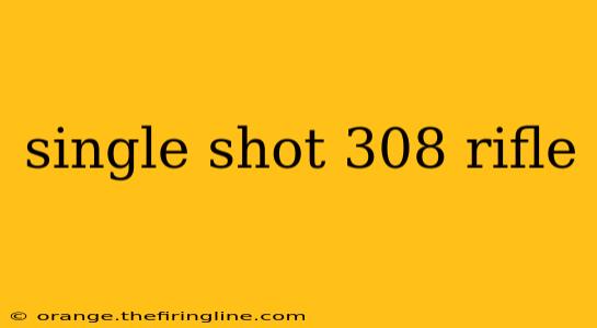 single shot 308 rifle