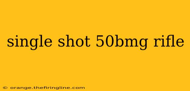 single shot 50bmg rifle