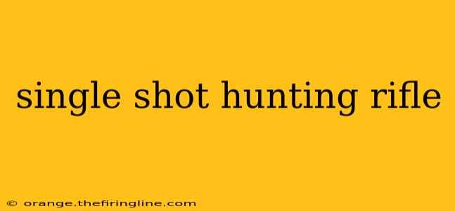 single shot hunting rifle