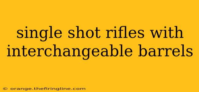 single shot rifles with interchangeable barrels