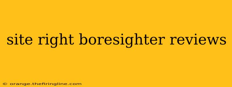 site right boresighter reviews