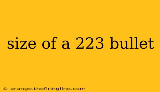 size of a 223 bullet