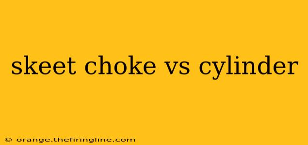 skeet choke vs cylinder