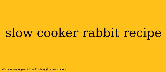 slow cooker rabbit recipe