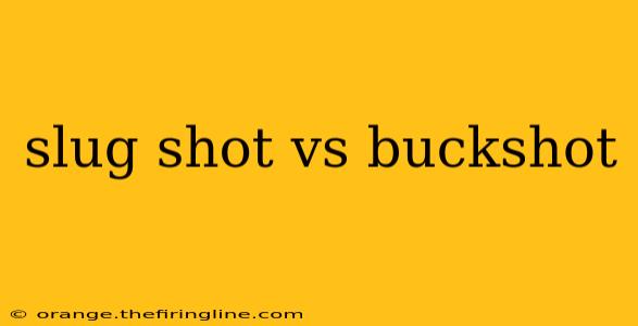 slug shot vs buckshot