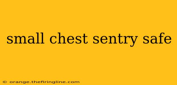 small chest sentry safe