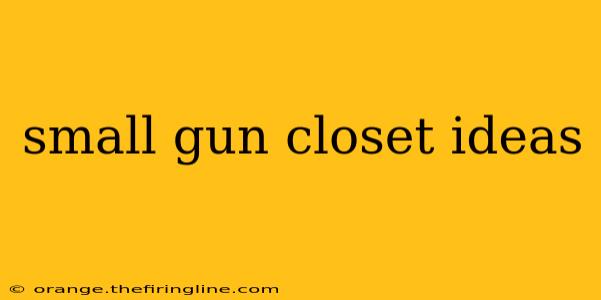 small gun closet ideas