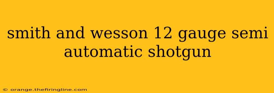 smith and wesson 12 gauge semi automatic shotgun