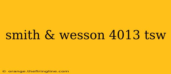 smith & wesson 4013 tsw