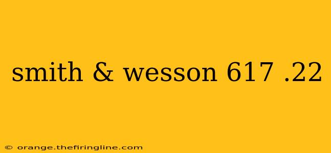 smith & wesson 617 .22