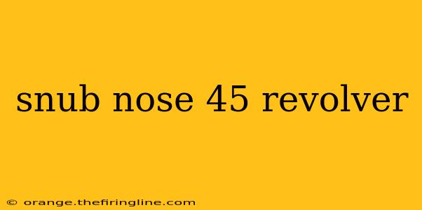 snub nose 45 revolver