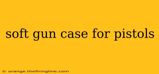 soft gun case for pistols