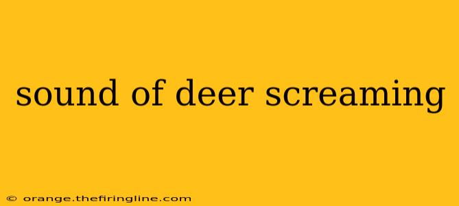 sound of deer screaming