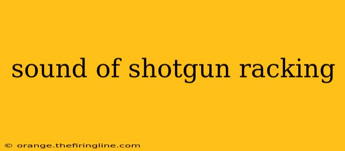 sound of shotgun racking